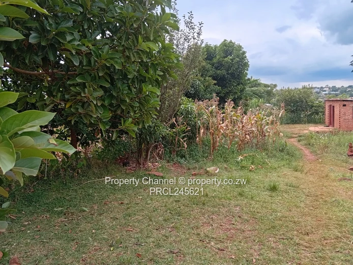 600m² Hatcliffe Stand – Prime Spot