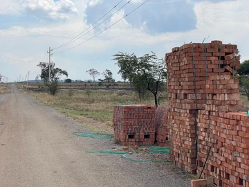 Stands & Residential Land