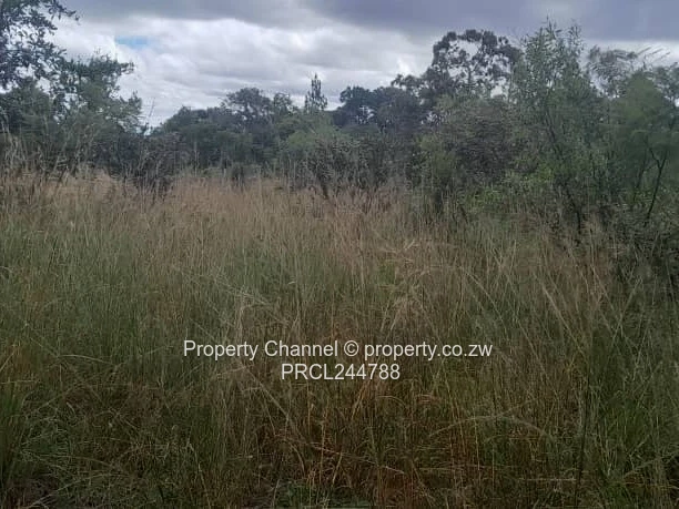 Prime Flat Agro Plot – Ideal for Farming, dwelling & Investment