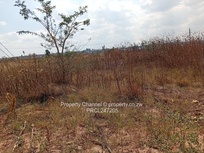 200m² Barrington Tarred Road with Services