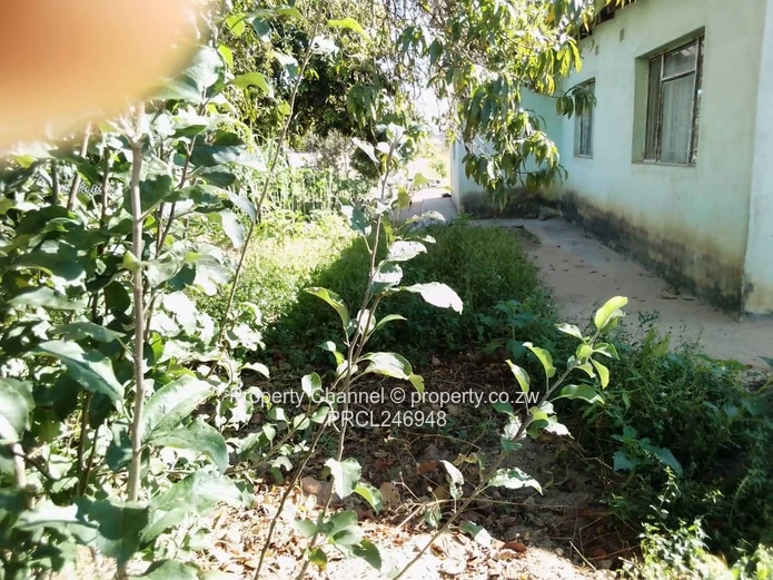 3-Bed Home with Gated Front & Spacious Yard, Rusape