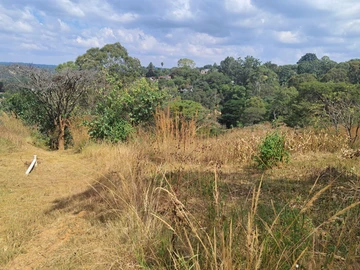 Land