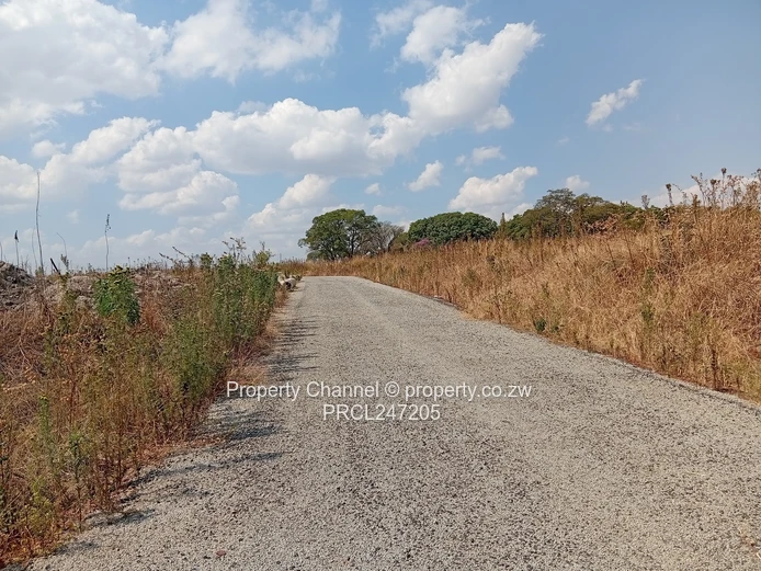200m² Barrington Tarred Road with Services