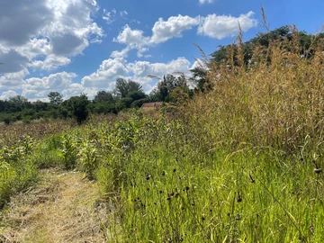 3 Bedroom Flat & Apartment