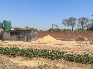 Stands & Residential Land