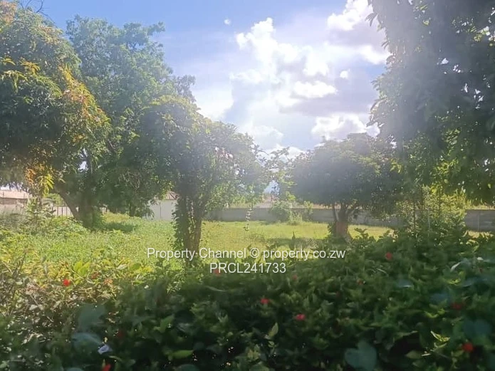 Investement opporunity not to be missed