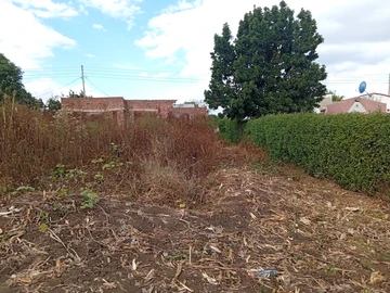 Stands & Residential Land