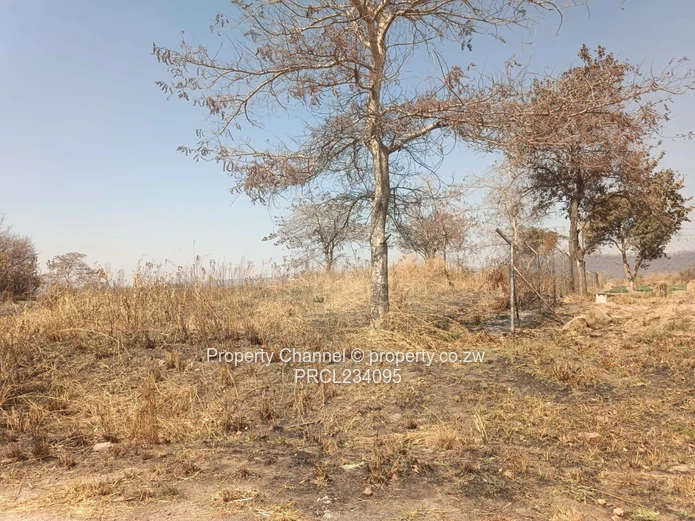 Prime Land Idea for School or Clusters. GALLOWAY NORTON