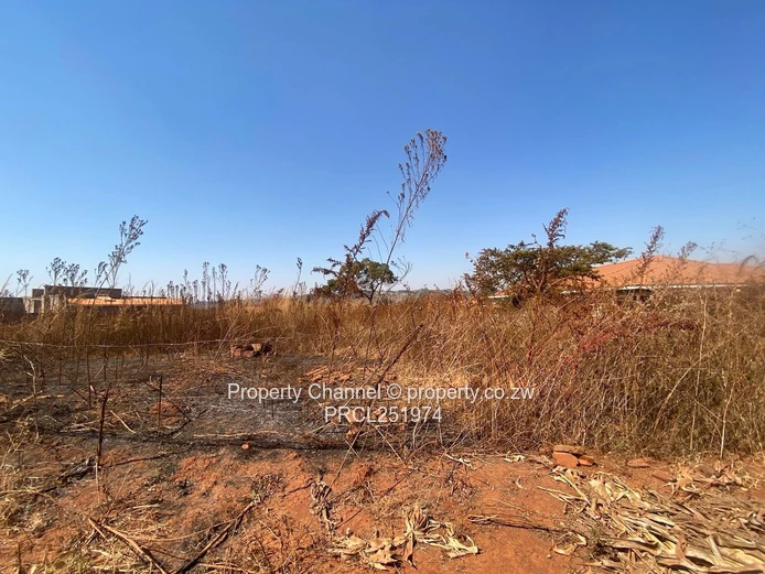 Vacant 1300m² Fenced Stand on Main Road – Crowhill Views