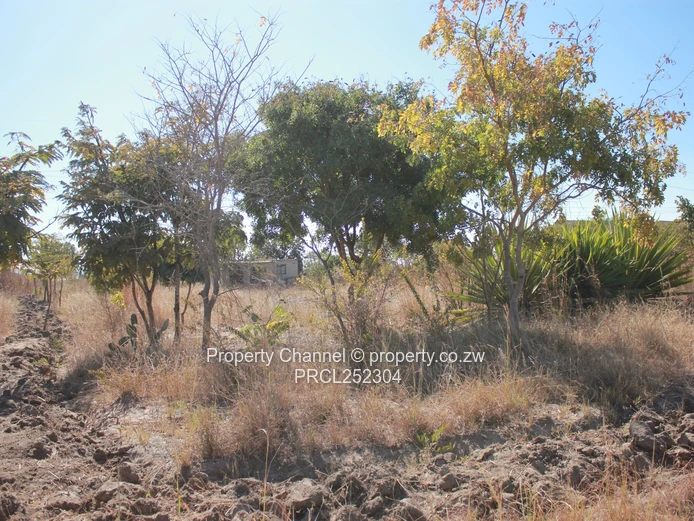  1500m² Stand in Norton Trafalga — Gravel Road Access