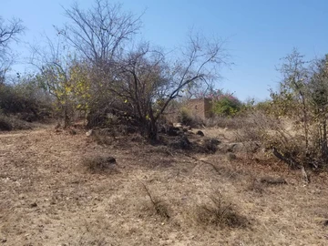 Farm & Agricultural Land