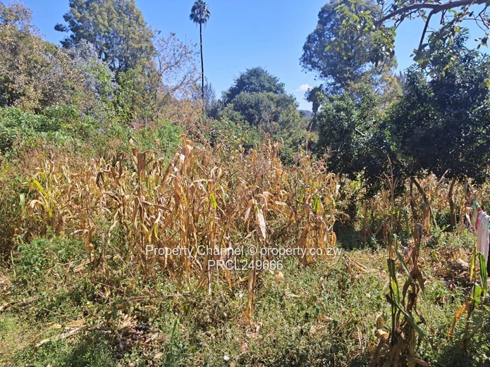 Land with cottage