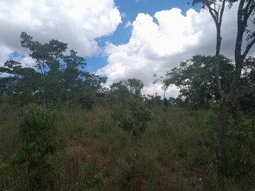 Farm & Agricultural Land