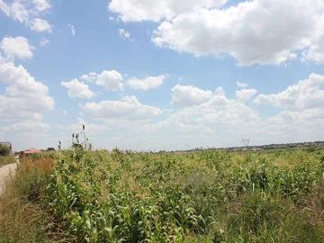 Commercial & Industrial Land