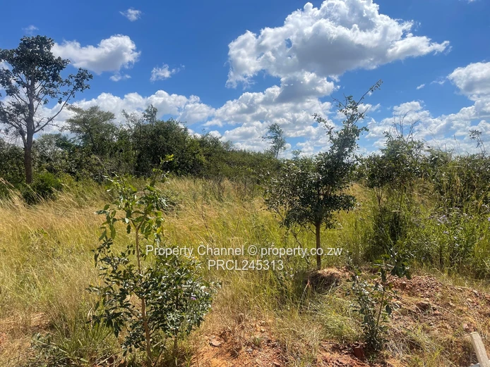 1200sqm in Luna Estate, Nyabira (Sole Mandate)