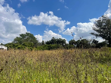 3 Bedroom Flat & Apartment