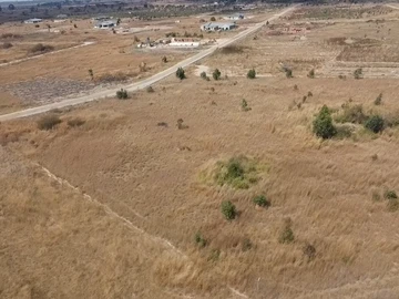 Farm & Agricultural Land