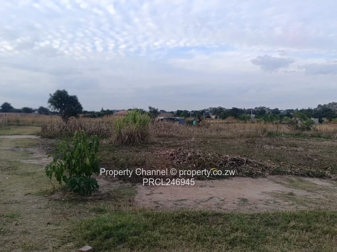 2000 m² Fenced Plot with Road Access in Whitecliff