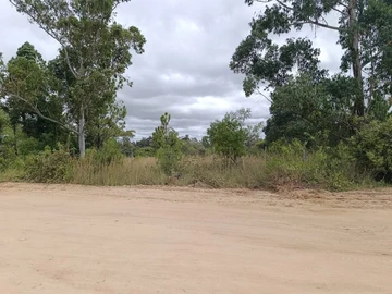 Farm & Agricultural Land