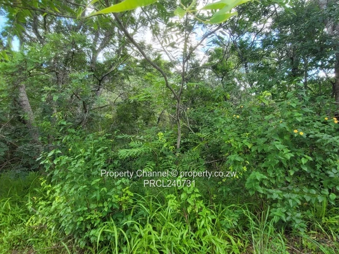 Residential Stand in Glen Lorne meauring 5118 sqm with Title Deeds 