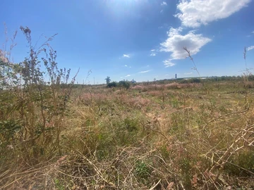 Commercial & Industrial Land