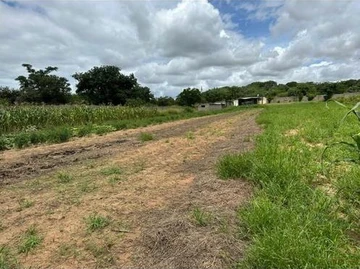 Farm & Agricultural Land