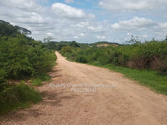 1172m² Serviced Stand in Kadoma – Road & Drainage Ready