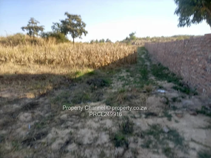 Stand for Sale – Prime Location Near Ocean Primary School