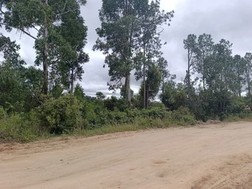 Farm & Agricultural Land