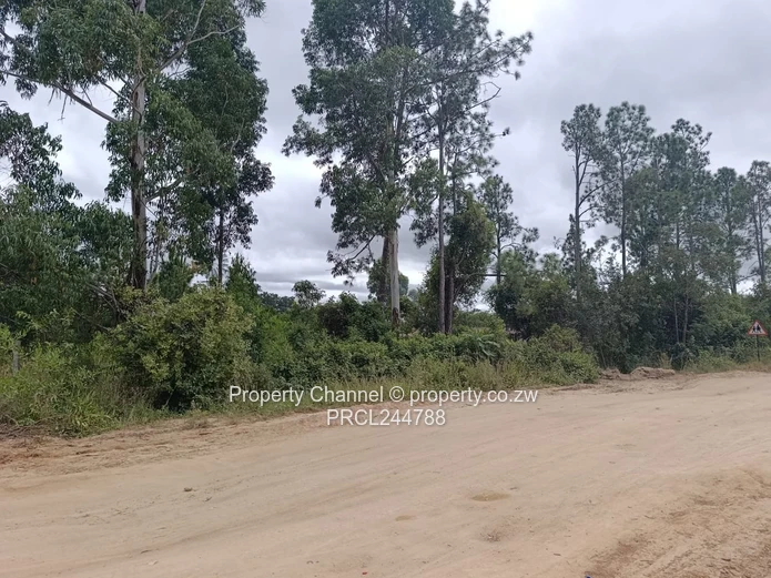 Prime Flat Agro Plot – Ideal for Farming, dwelling & Investment