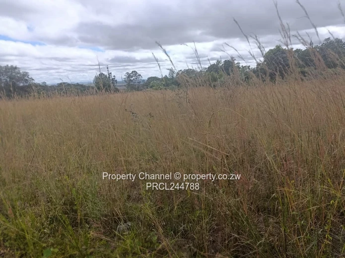 Prime Flat Agro Plot – Ideal for Farming, dwelling & Investment