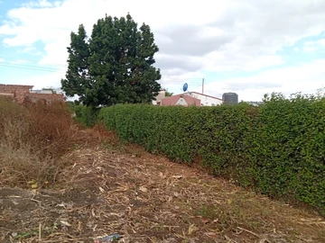 Stands & Residential Land