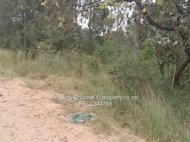 Prime Flat Agro Plot – Ideal for Farming, dwelling & Investment