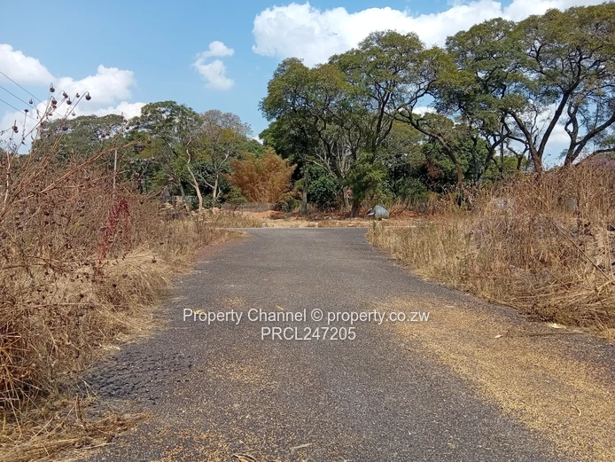200m² Barrington Tarred Road with Services