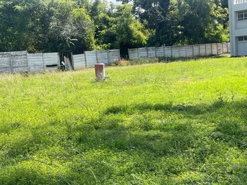 3 Bedroom Flat & Apartment