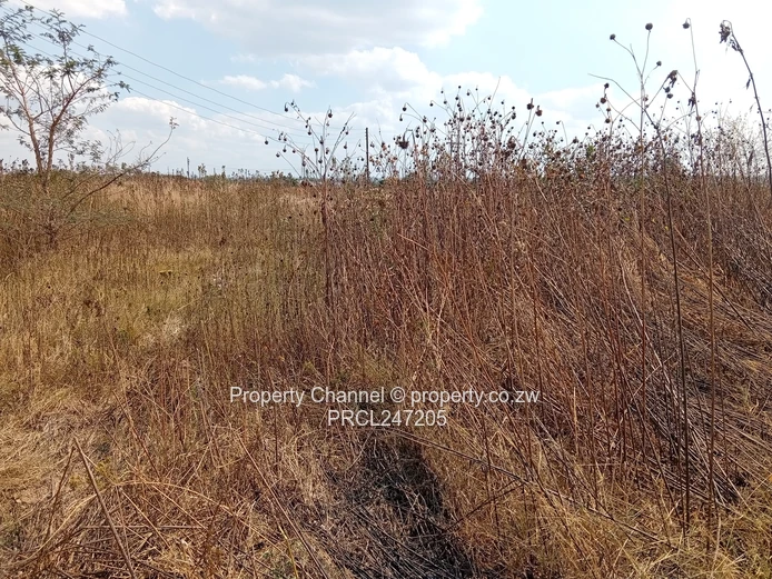 200m² Barrington Tarred Road with Services