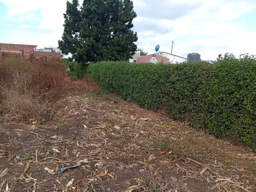 Stands & Residential Land