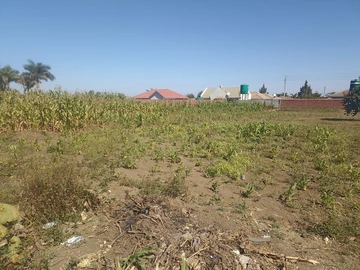 Stands & Residential Land