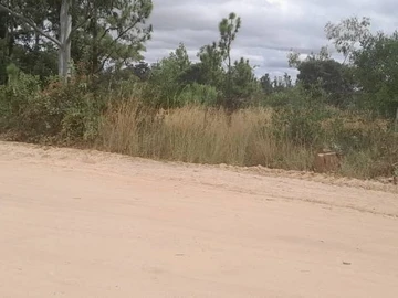 Farm & Agricultural Land