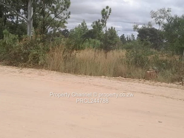 Prime Flat Agro Plot – Ideal for Farming, dwelling & Investment