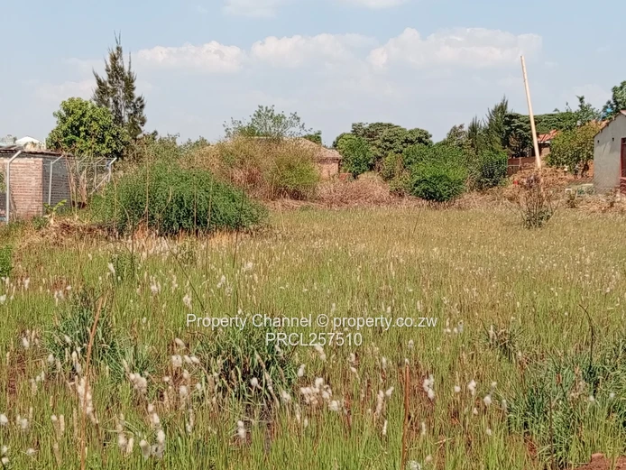 800m² Stand in Hatcliffe