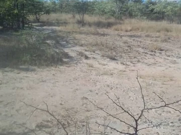 Farm & Agricultural Land