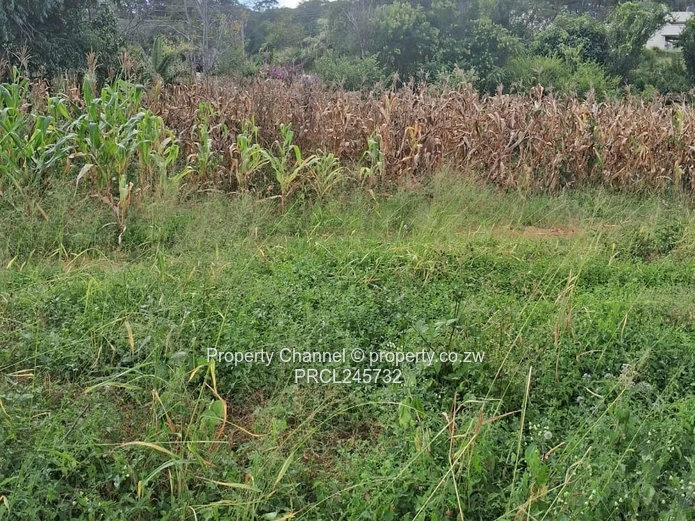 Stand For Sale In Borrowdale Brooke Ridge