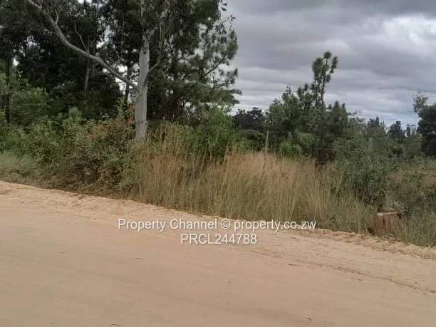 Prime Flat Agro Plot – Ideal for Farming, dwelling & Investment