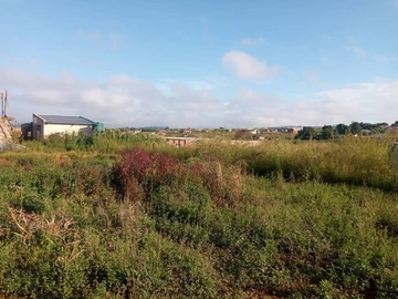 Commercial & Industrial Land