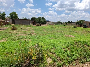 Stands & Residential Land