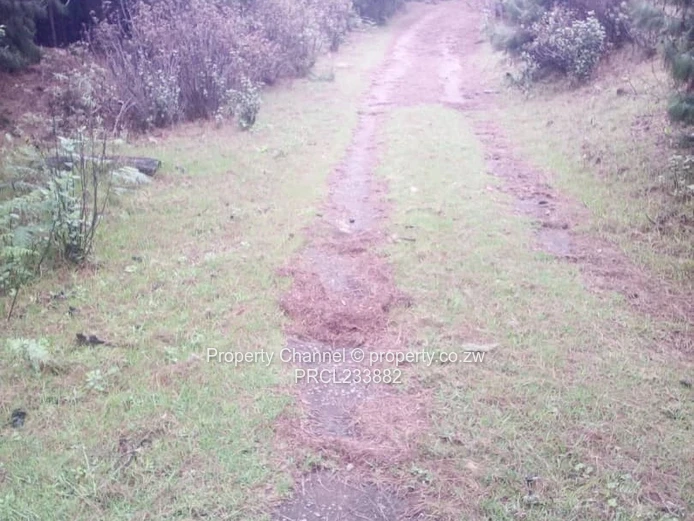 Nyanga Plots For Sale