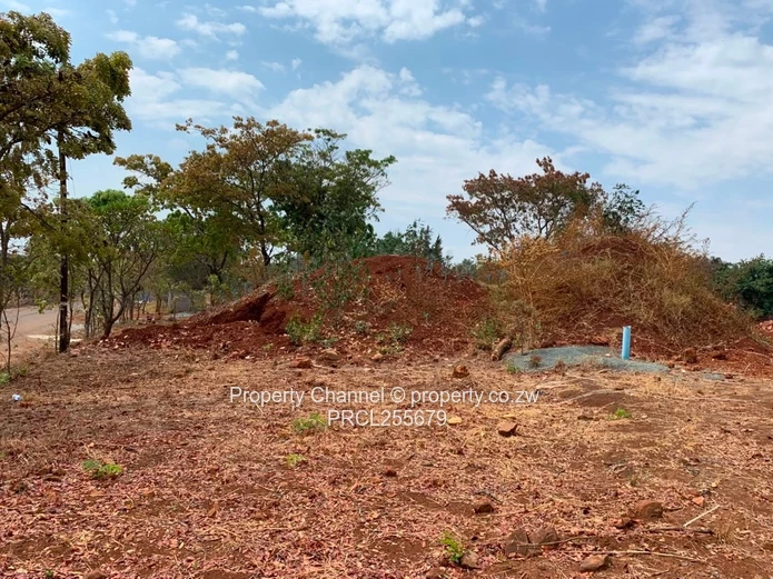 2,100m² Plot on Paved Road with Palm Trees, Hogerty Hill