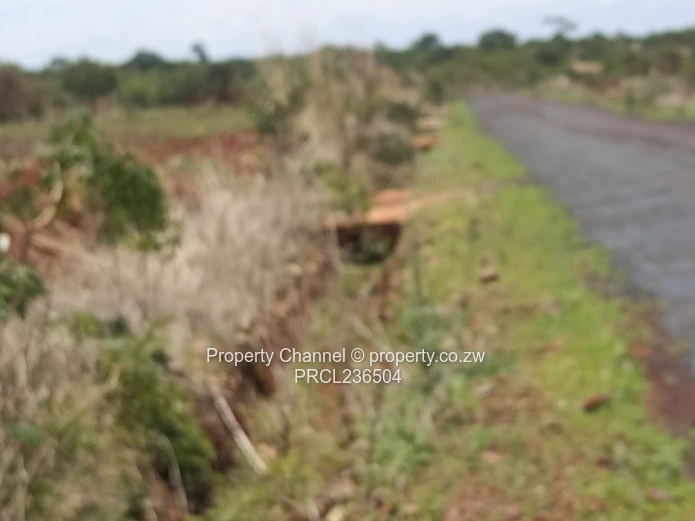 Pomona Serviced Residential Stands in Wild Geese, Buckland Gated Community