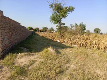 Land